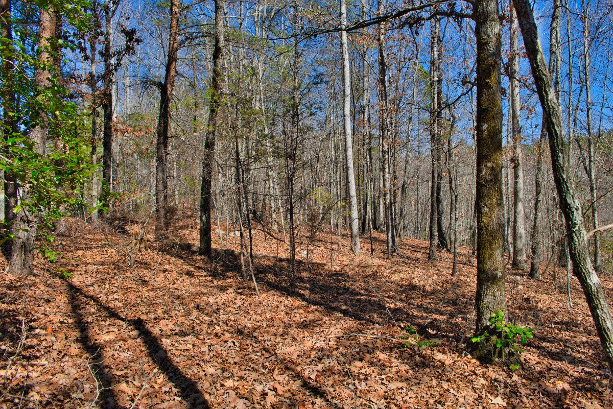 Lot 42 on Sweetbriar Rd S, Lake Lure, NC, mislabeled as 0 Silent Forest Way