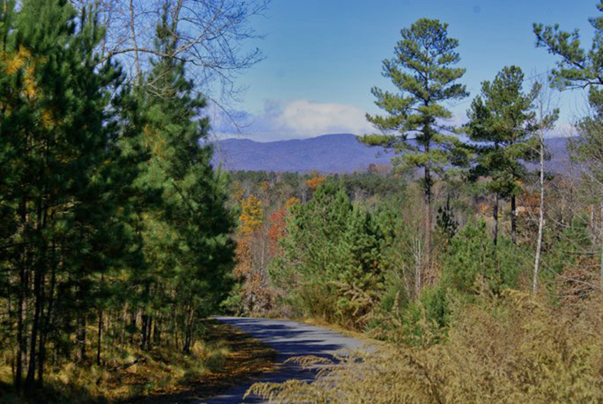 mountain views on Lot 98 in Clearwater Creek