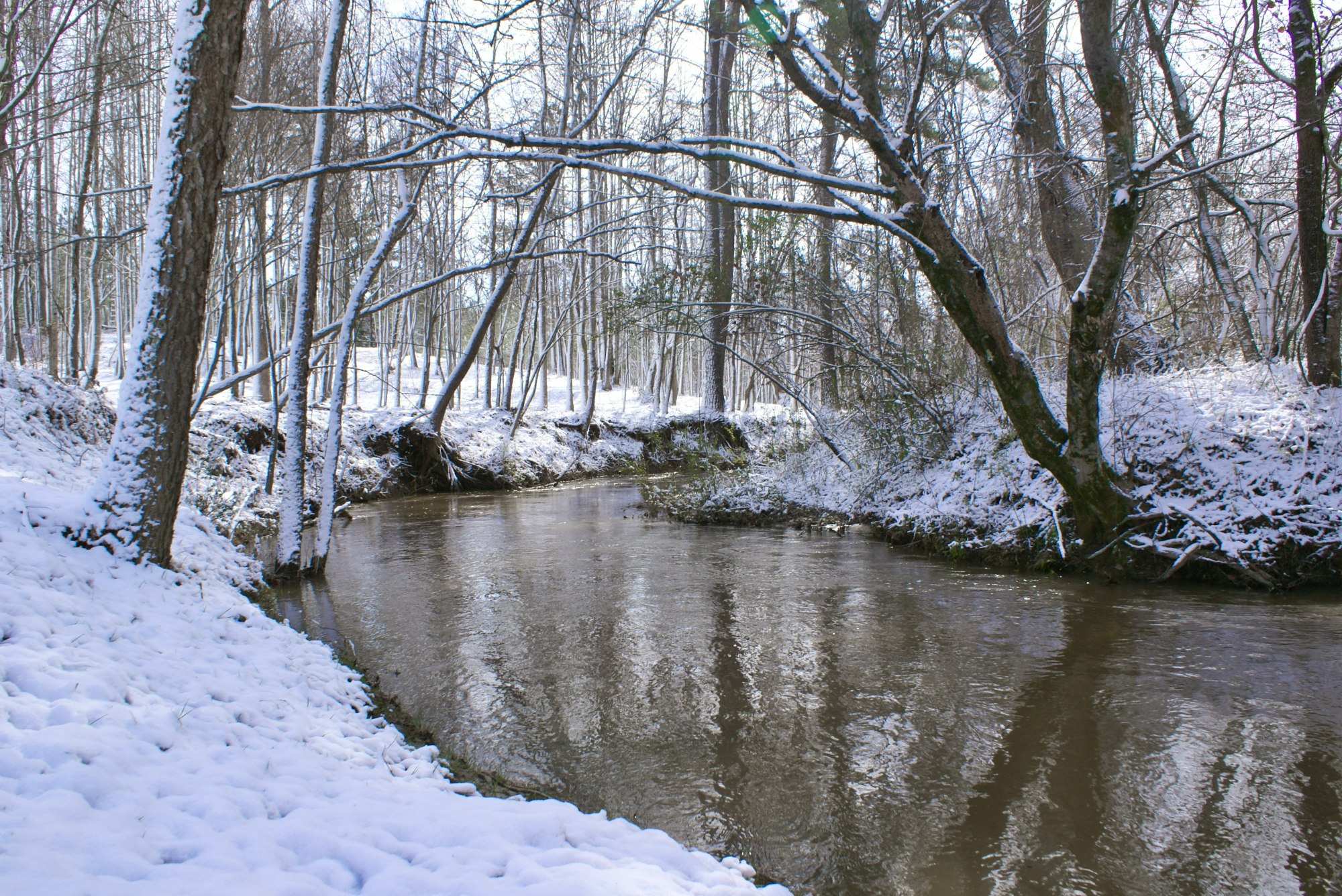 Cathey's Creek in Hearthstone Park