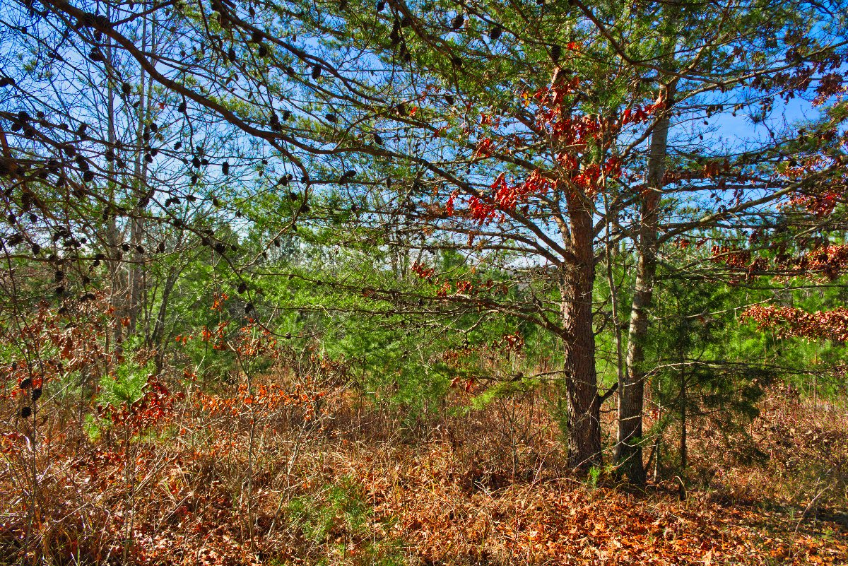 Near-level land on corner lot 156 in Hearthstone Ridge